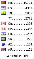 visitors by country counter