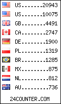 visitors by country counter