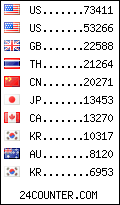 visitors by country counter