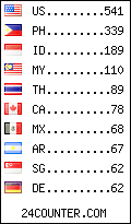 visitors by country counter