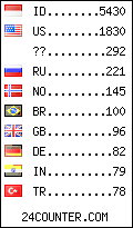 visitors by country counter