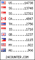 visitors by country counter