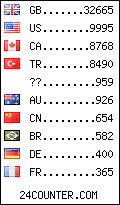 visitors by country counter