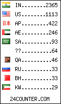 visitors by country counter