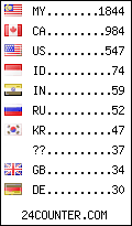 visitors by country counter