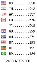 visitors by country counter