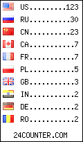 visitors by country counter