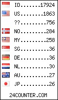 visitors by country counter