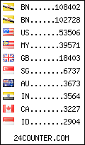 visitors by country counter
