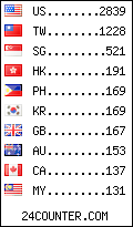 visitors by country counter