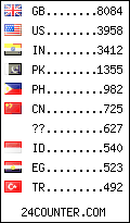 visitors by country counter