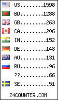 visitors by country counter