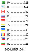 visitors by country counter