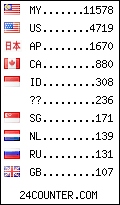 visitors by country counter