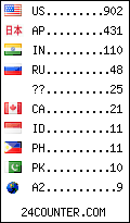 visitors by country counter