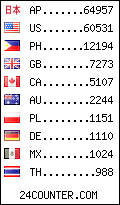 visitors by country counter