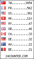 visitors by country counter