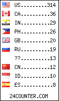 visitors by country counter