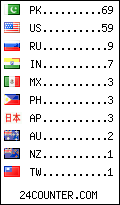 visitors by country counter
