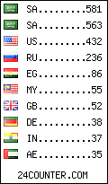 visitors by country counter