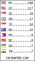 visitors by country counter