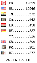 visitors by country counter