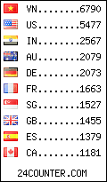 visitors by country counter