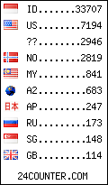 visitors by country counter