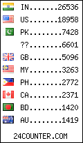 visitors by country counter