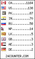 visitors by country counter