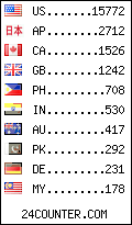 visitors by country counter