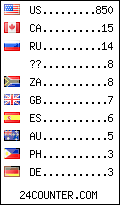 visitors by country counter