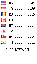 visitors by country counter