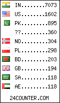 visitors by country counter