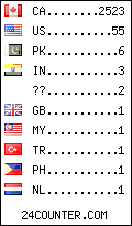 visitors by country counter