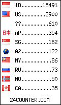 visitors by country counter