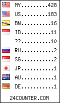 visitors by country counter