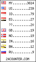 visitors by country counter