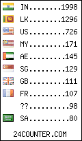 visitors by country counter