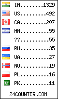 visitors by country counter