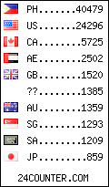 visitors by country counter