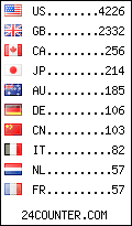 visitors by country counter