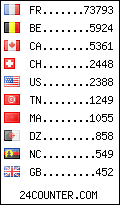 visitors by country counter