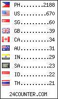 visitors by country counter