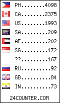 visitors by country counter