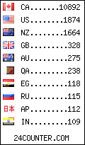 visitors by country counter