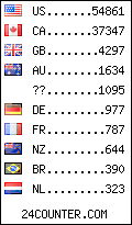 visitors by country counter