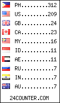 visitors by country counter