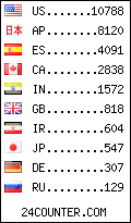 visitors by country counter