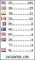 visitors by country counter